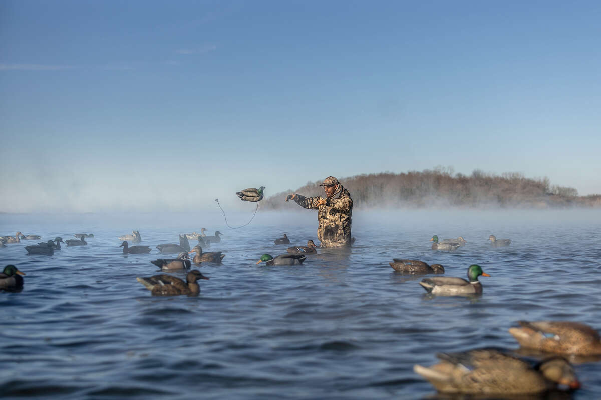 Unleashed in Chicago Ducks Unlimited